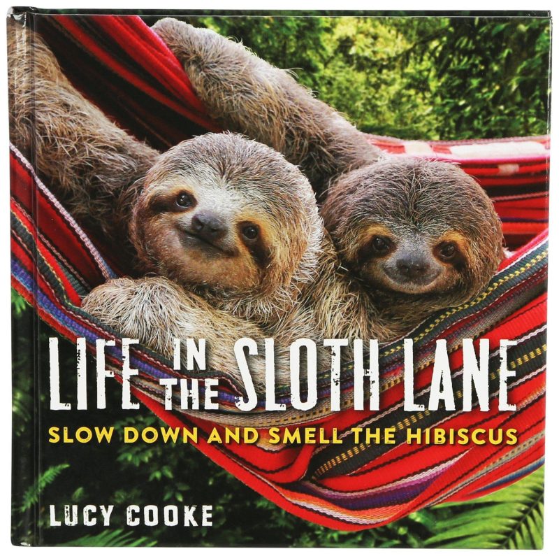 Electronics, Gadgets & Gifts | Life In The Sloth Lane Book Electronics, Gadgets & Gifts Electronics, Gadgets & Gifts