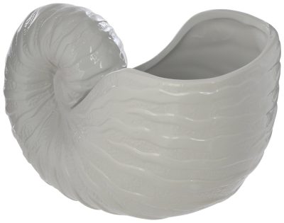 Home Décor | 10 In Nautilus Shell Home Accent Home Décor Home Décor