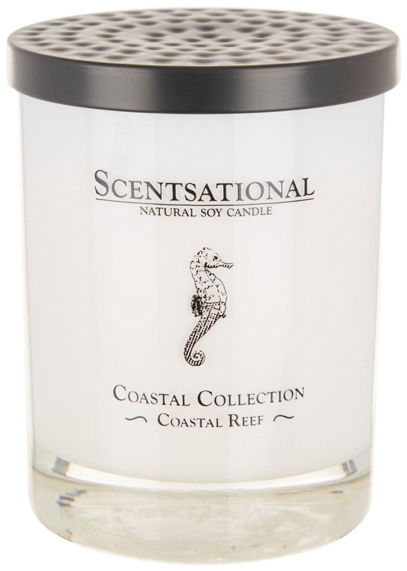 Home Décor | 11 Oz. Coastal Reef Soy Blend Candle Home Décor Home Décor