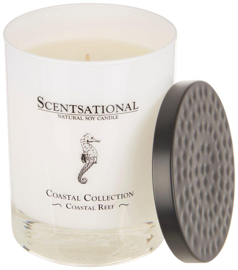 Home Décor | 11 Oz. Coastal Reef Soy Blend Candle Home Décor Home Décor