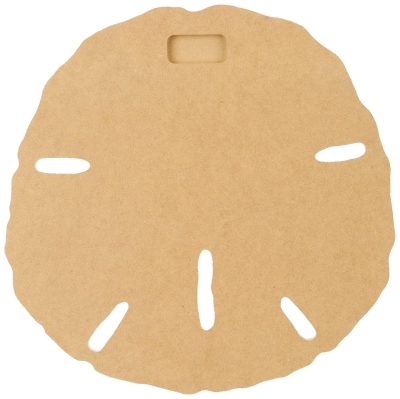 Home Décor | Sand Dollar Wall Decor Home Décor Home Décor