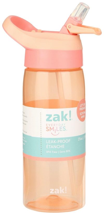 Kitchen & Dining | 25 Oz Leak-Proof Water Bottle Kitchen & Dining CORAL