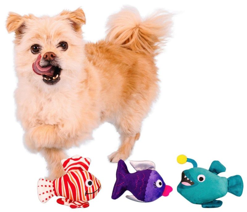 Pet | 3 Pc Fish Toys For Small Dogs Pet MULTI