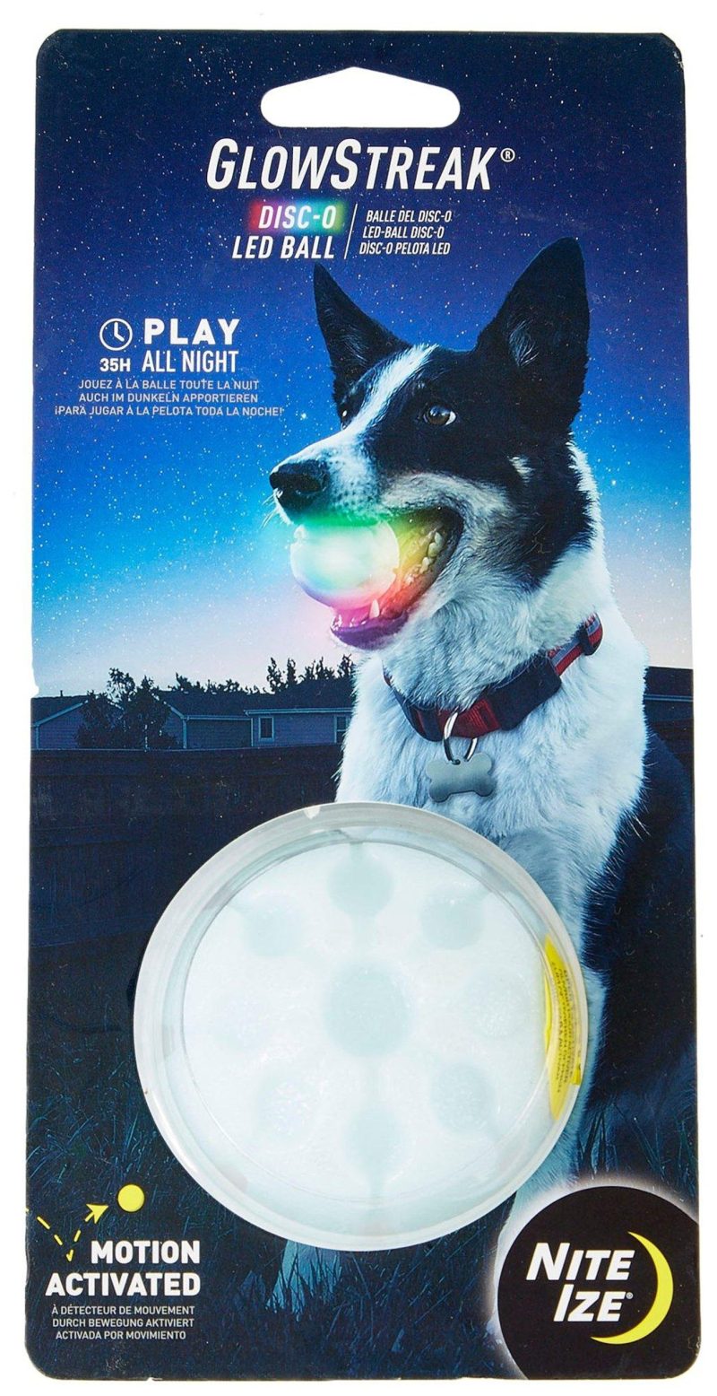 Pet | Glowstreak Disc-O Led Ball Pet BLUE