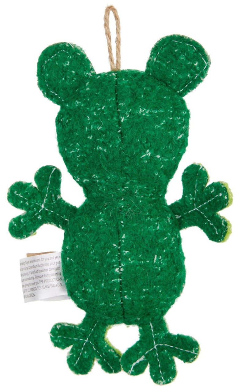 Pet | Mini Woolie Frog Dog Toy Pet GREEN