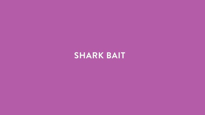 Pet | Shark Bait Dog Toy Pet MULTI