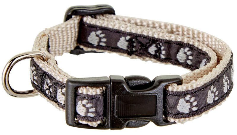 Pet | Two Tone Paw Print Small Collar Pet Pet