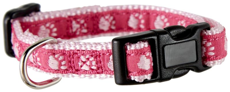 Pet | Two Tone Paw Print Small Collar Pet Pet