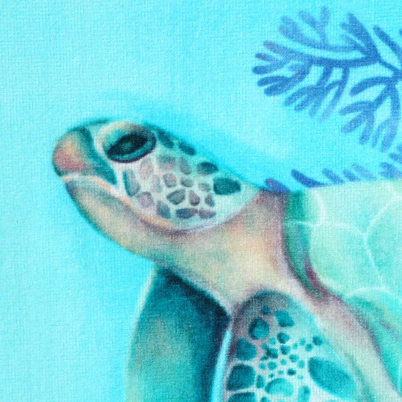 Beach & Pool | 30X60 Coastal Sea Turtle Print Beach Towel Beach & Pool Beach & Pool